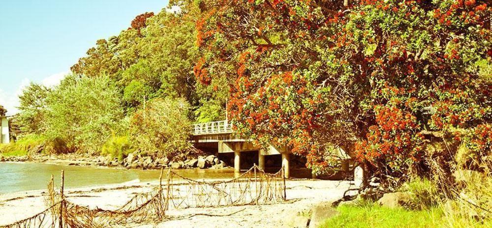 Ohuka Place Homestay Whitianga Exterior foto